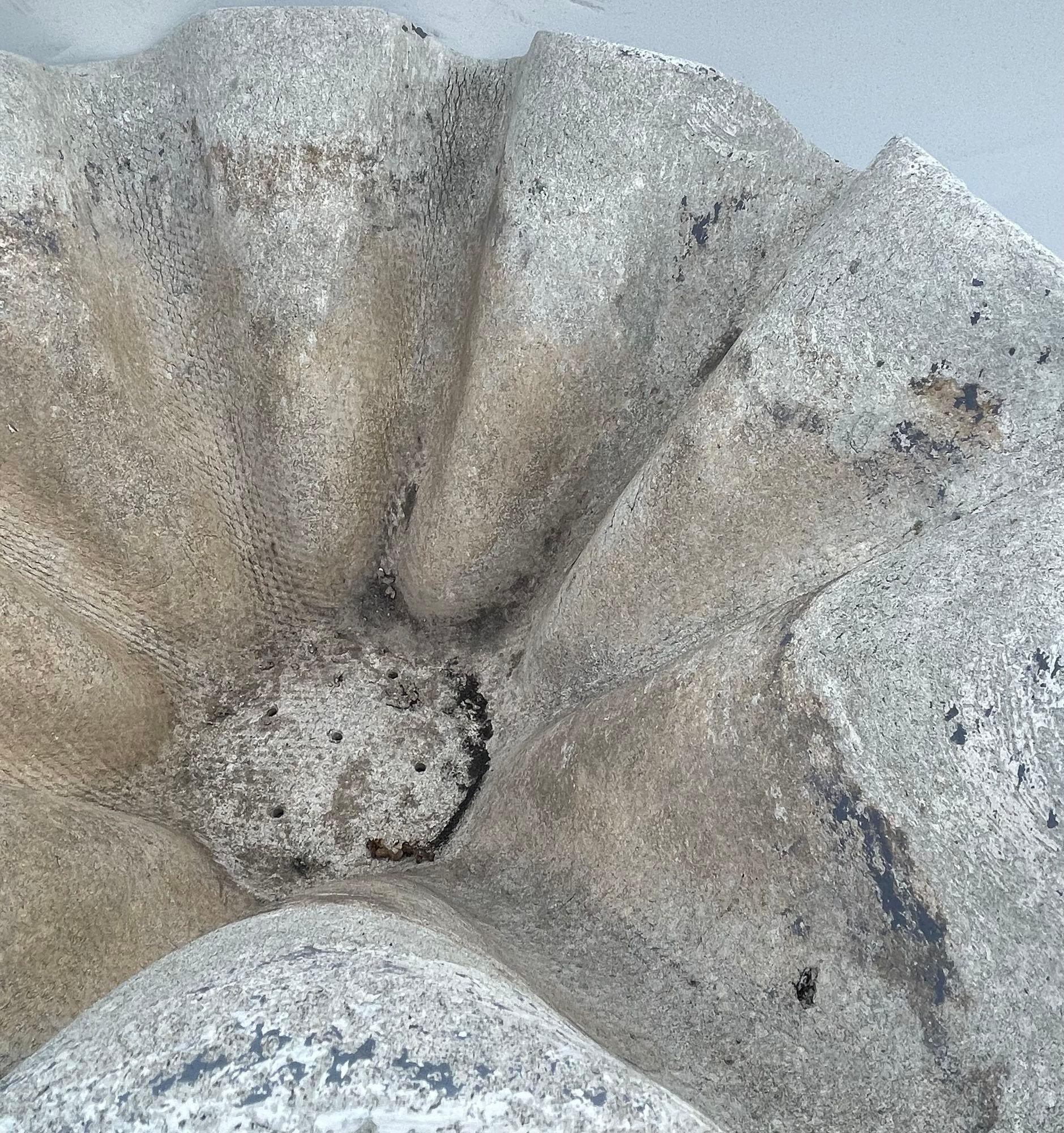 Pareja de Jardineras Biomórficas de Hormigón Willy Guhl para Eternit. Suiza, años 60 Concreto en venta