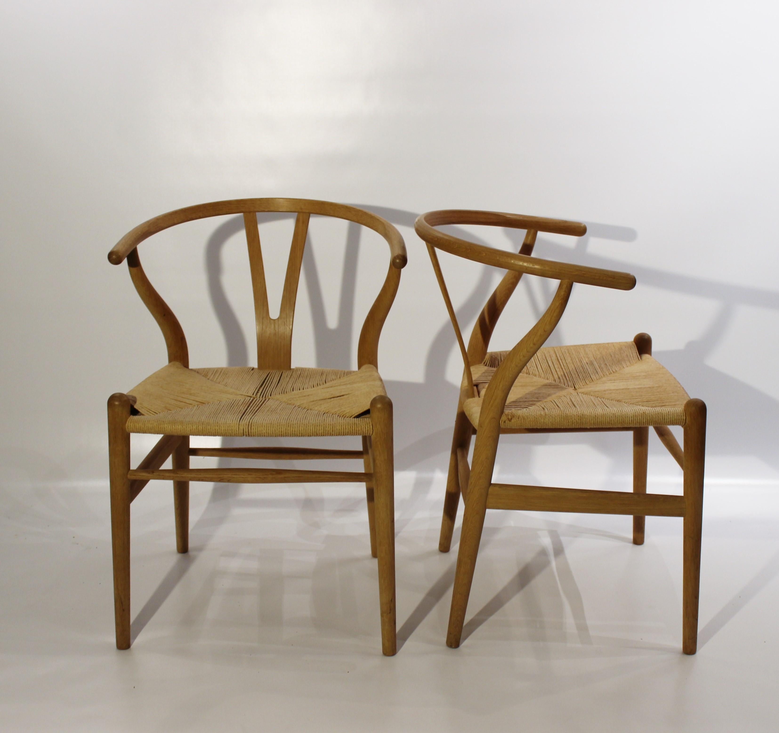 A pair of Wishbone chairs, model CH24, designed by Hans J. Wegner in 1950 and manufactured by Carl Hansen & Son. The chairs are with a paper cord seat and in soap treated oak.