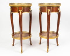 Pair of Wood and Gilt Bronze Pedestal Tables in the Louis XV Style.