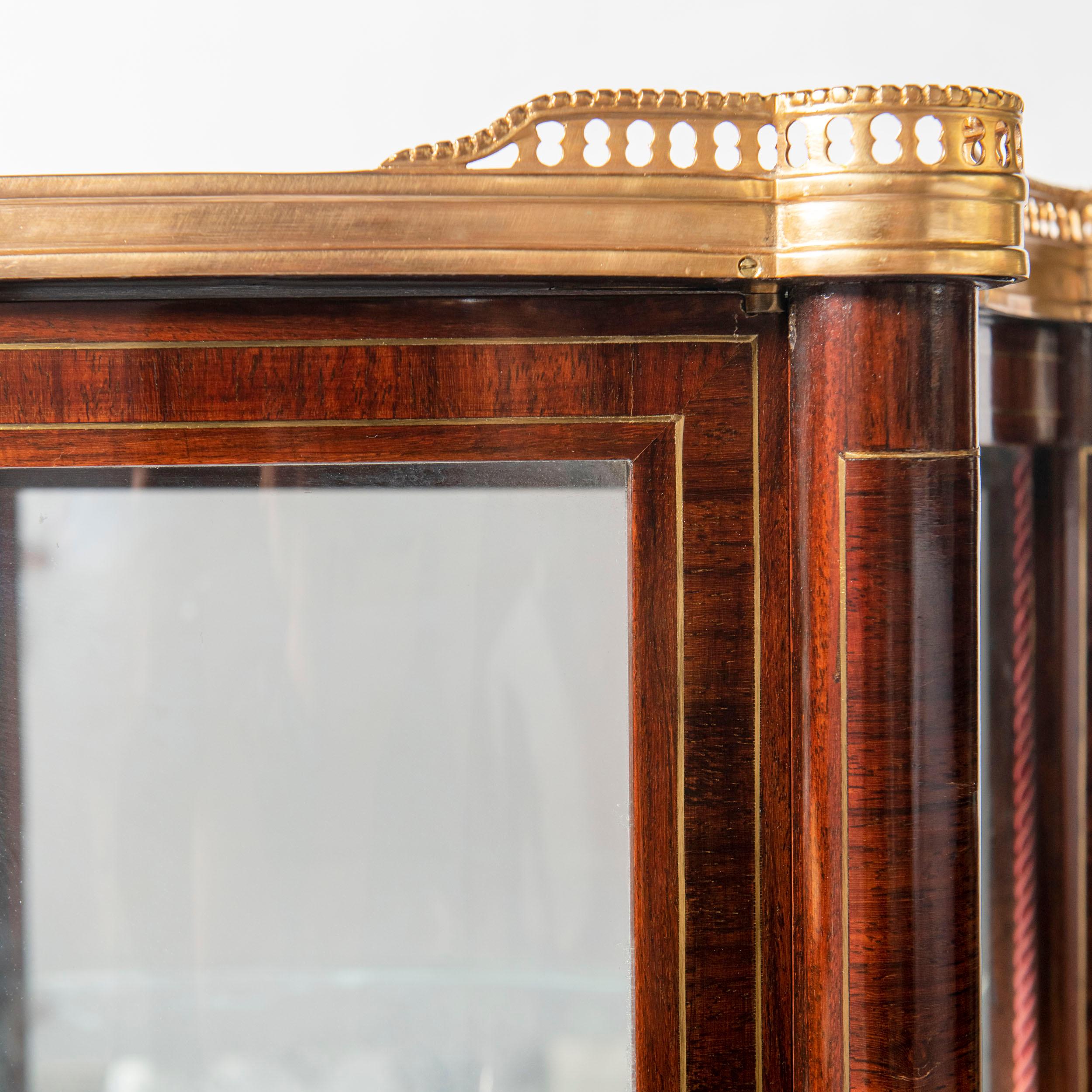 Pair of Wood, Bronze and Glass Showcases Vitrines, France, Late 19th Century For Sale 2