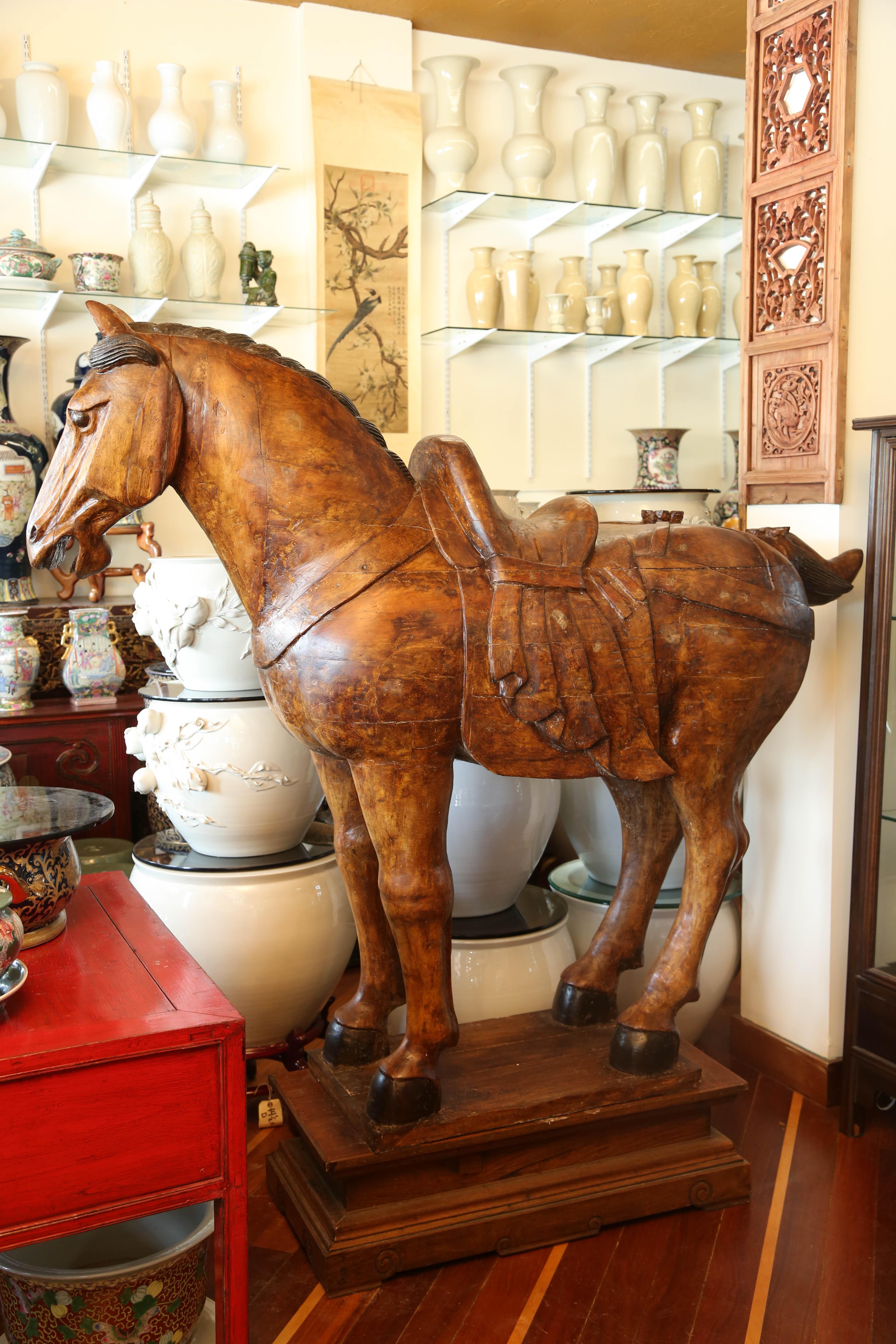 Pair of Wooden Mongolian Horses Lifesize Ching Dynasty, Late 20th Century For Sale 3