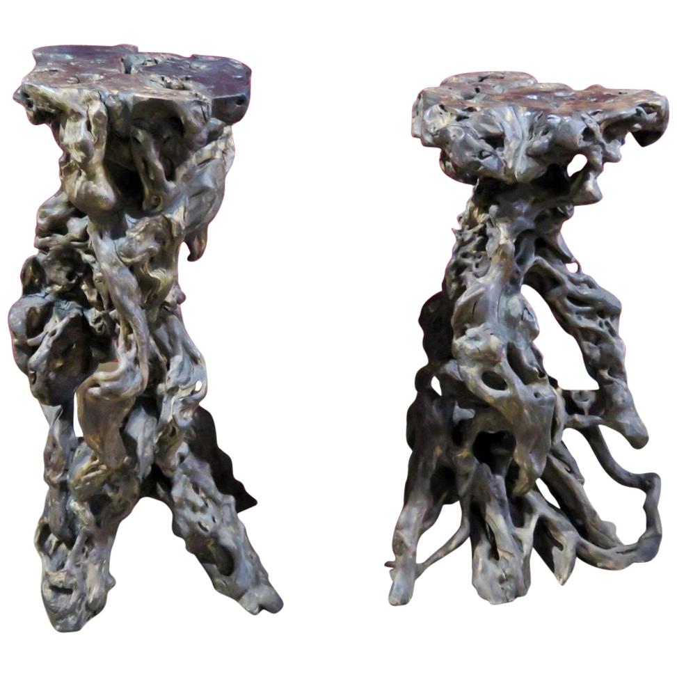 Pair of Wooden Root Pedestals/Stools