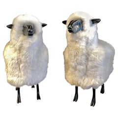 Antique Pair of Mid-Century Modern Francois Lalanne Style Sheep Sculpture, Wool / Resin