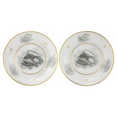 Pareja de Platillos de Porcelana Barr Worcester Flight & Barr Worcester con Conchas Dibujadas por Murciélagos