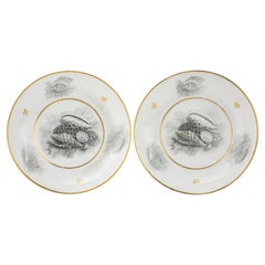 Antique Pair of Worcester Barr Flight Barr Porcelain Saucers with Bat-Printed Shells