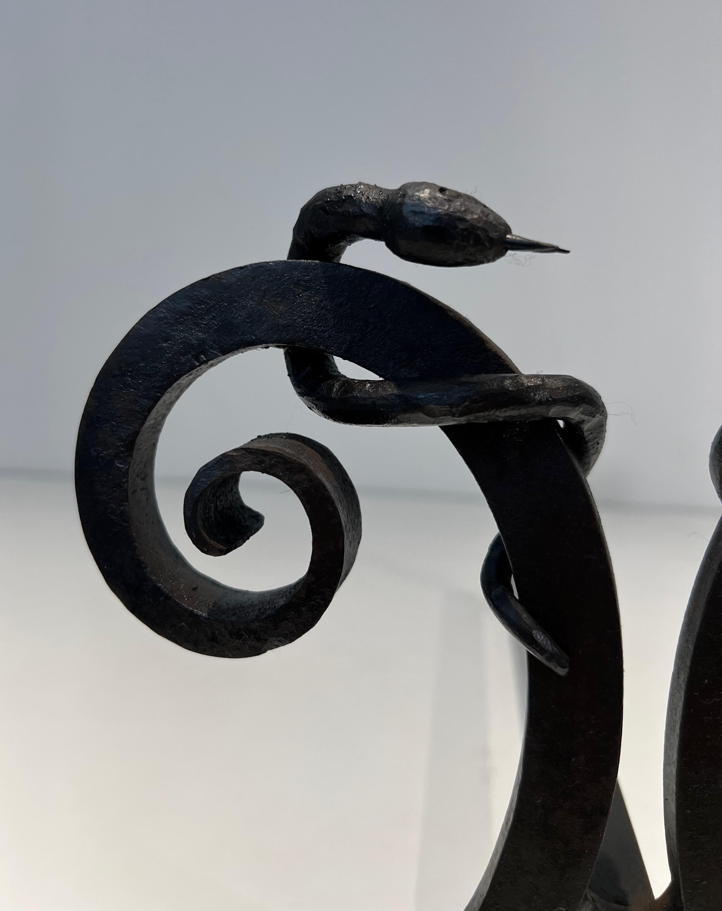 Pair of wrought iron andirons with Snakes in the style of Edgar Brandt For Sale 10