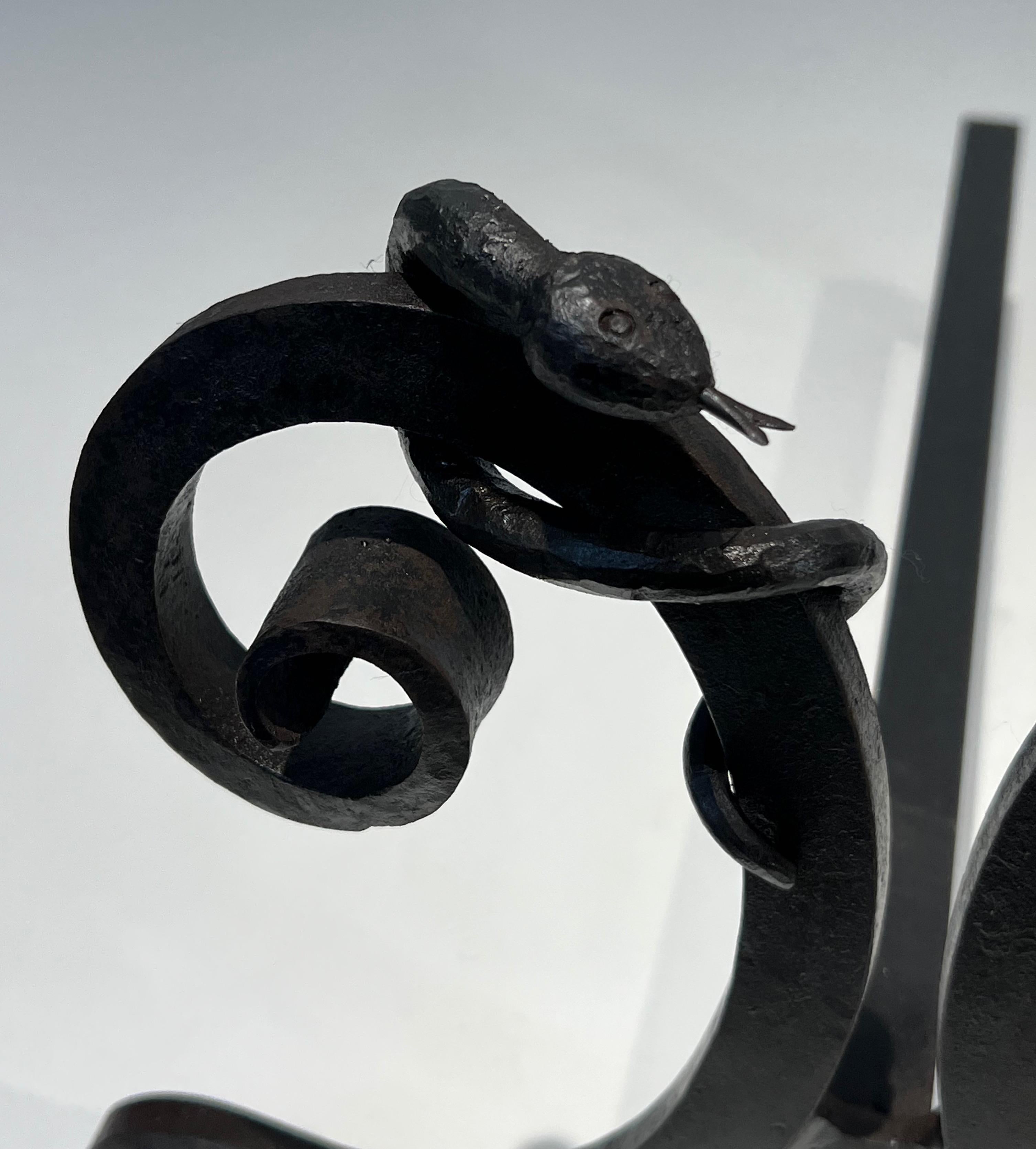 Pair of wrought iron andirons with Snakes in the style of Edgar Brandt For Sale 11