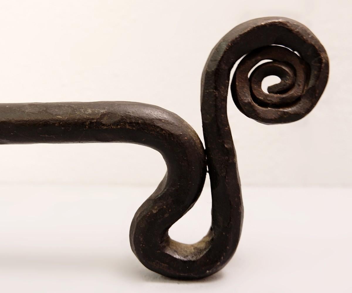 Pair of wrought iron dachshund andirons.