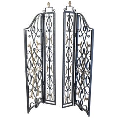 Pair of Wrought Iron Grills Painted and Gilded in Gold