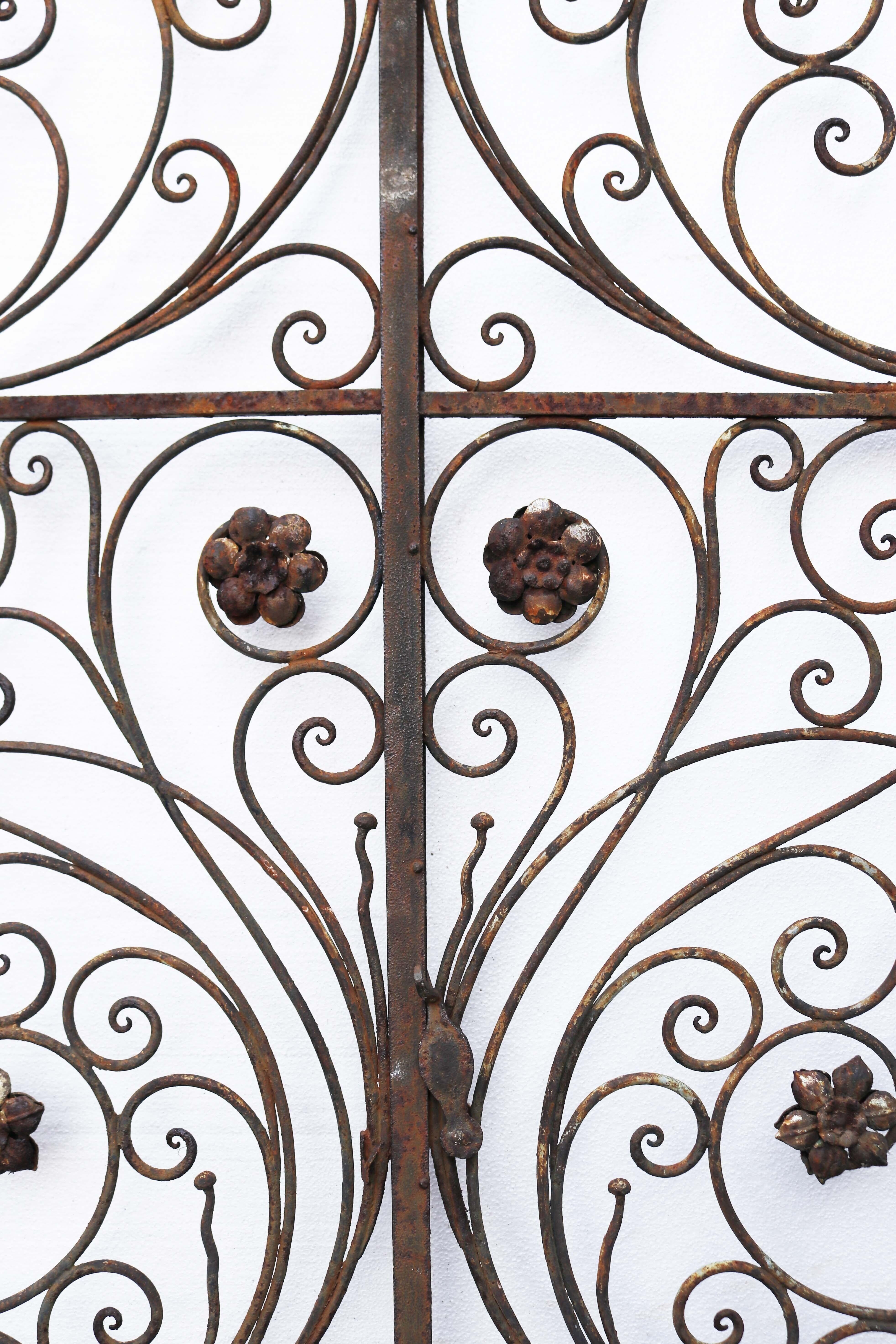 Pair of wrought iron scroll work gates. Beautiful, tall and impressive gates featuring a series of scrolls and flowers throughout. The gates have an aged and rustic appearance.



Additional Dimensions

For an opening of approx. 111.5 cm.