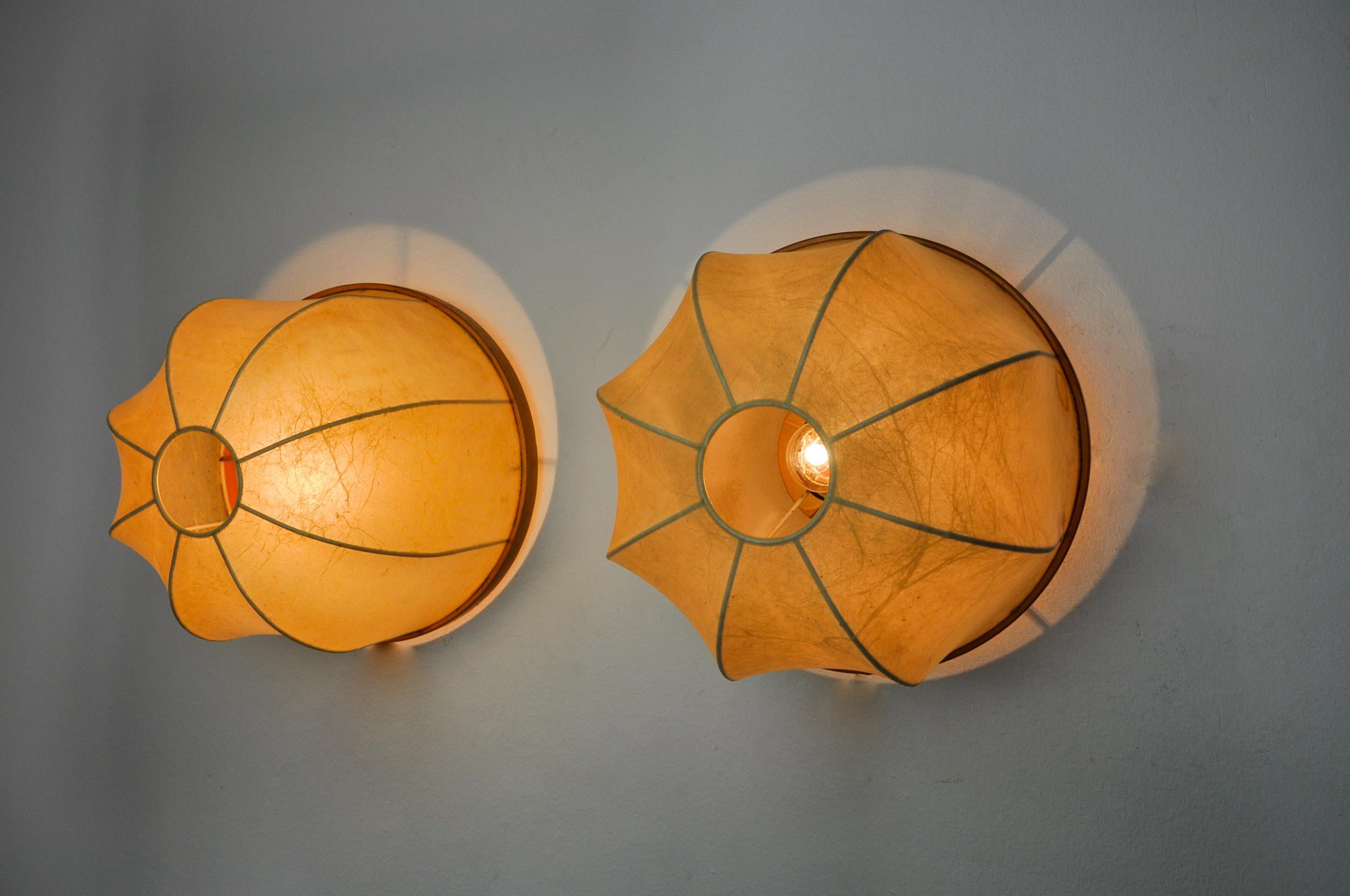 Wood Pair of XL 