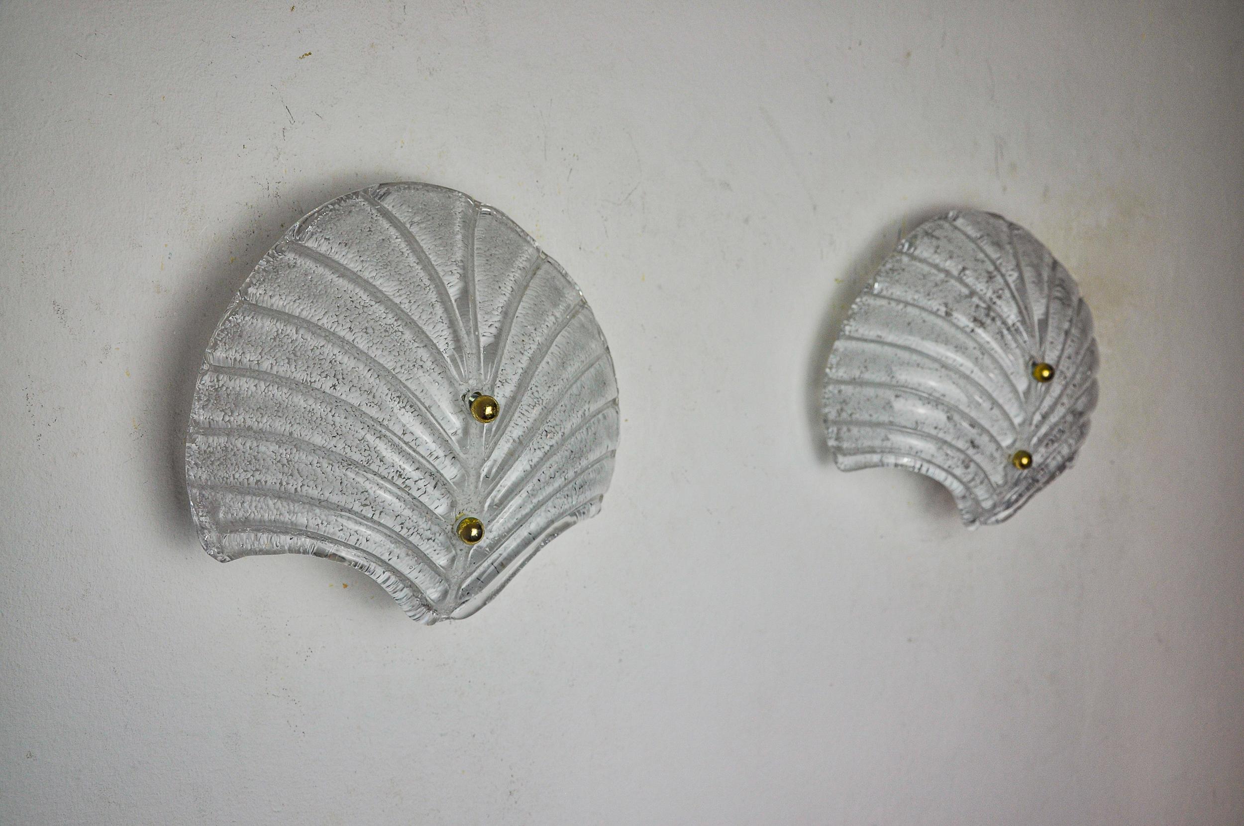 italien Paire d'appliques en forme de coquillage XL, verre de Murano dépoli, Italie, 1980 en vente