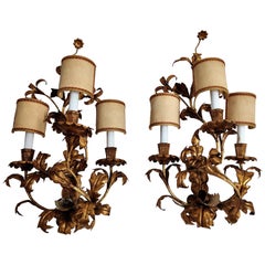 Pair of Extra Large Gilded Hans Kögl Style Wall Lamps, 1960s