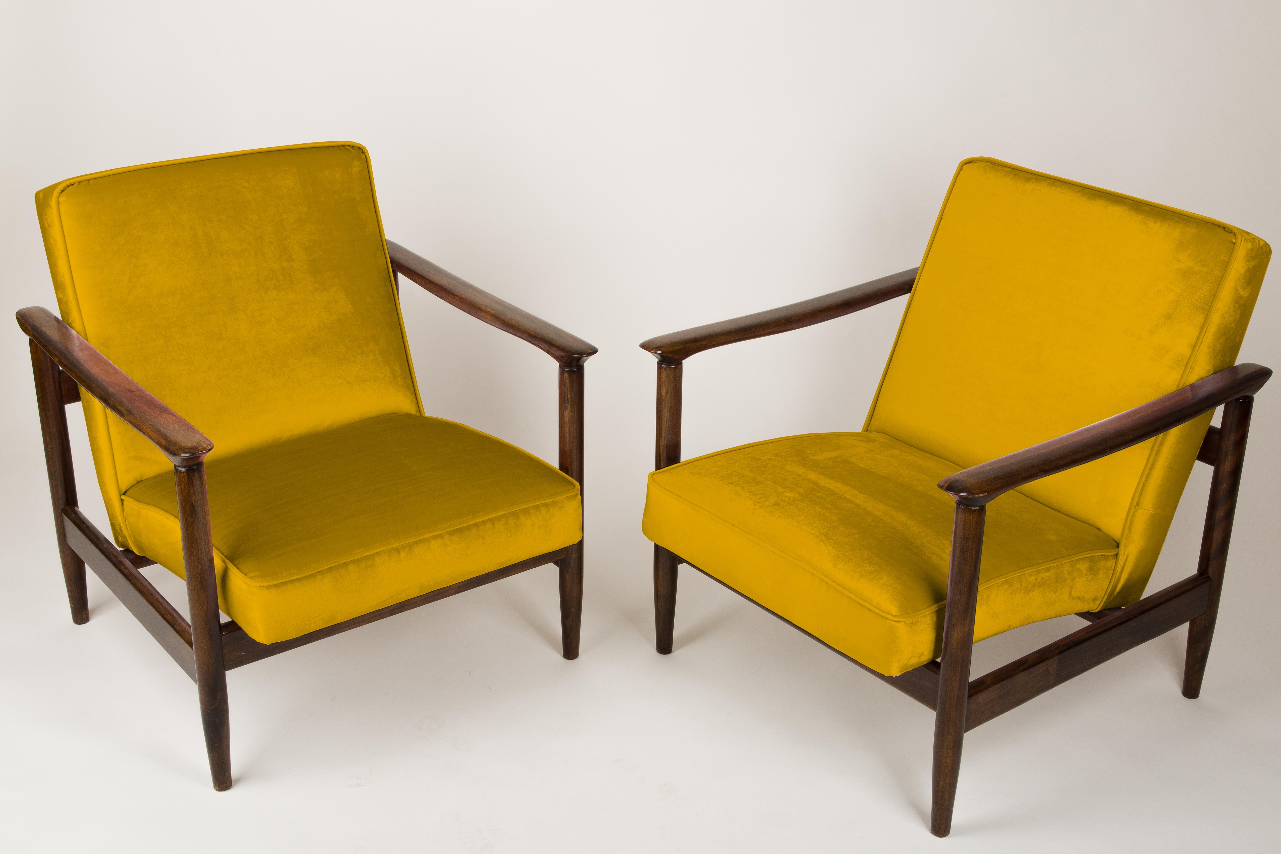 Ein Paar Sessel GFM-142, entworfen von Edmund Homa. Die Sessel wurden in den 1960er Jahren in der Möbelfabrik Gosciecinska hergestellt. Sie sind aus massivem Buchenholz gefertigt. Der GFM-142 Sessel gilt als einer der besten polnischen Sesseldesigns