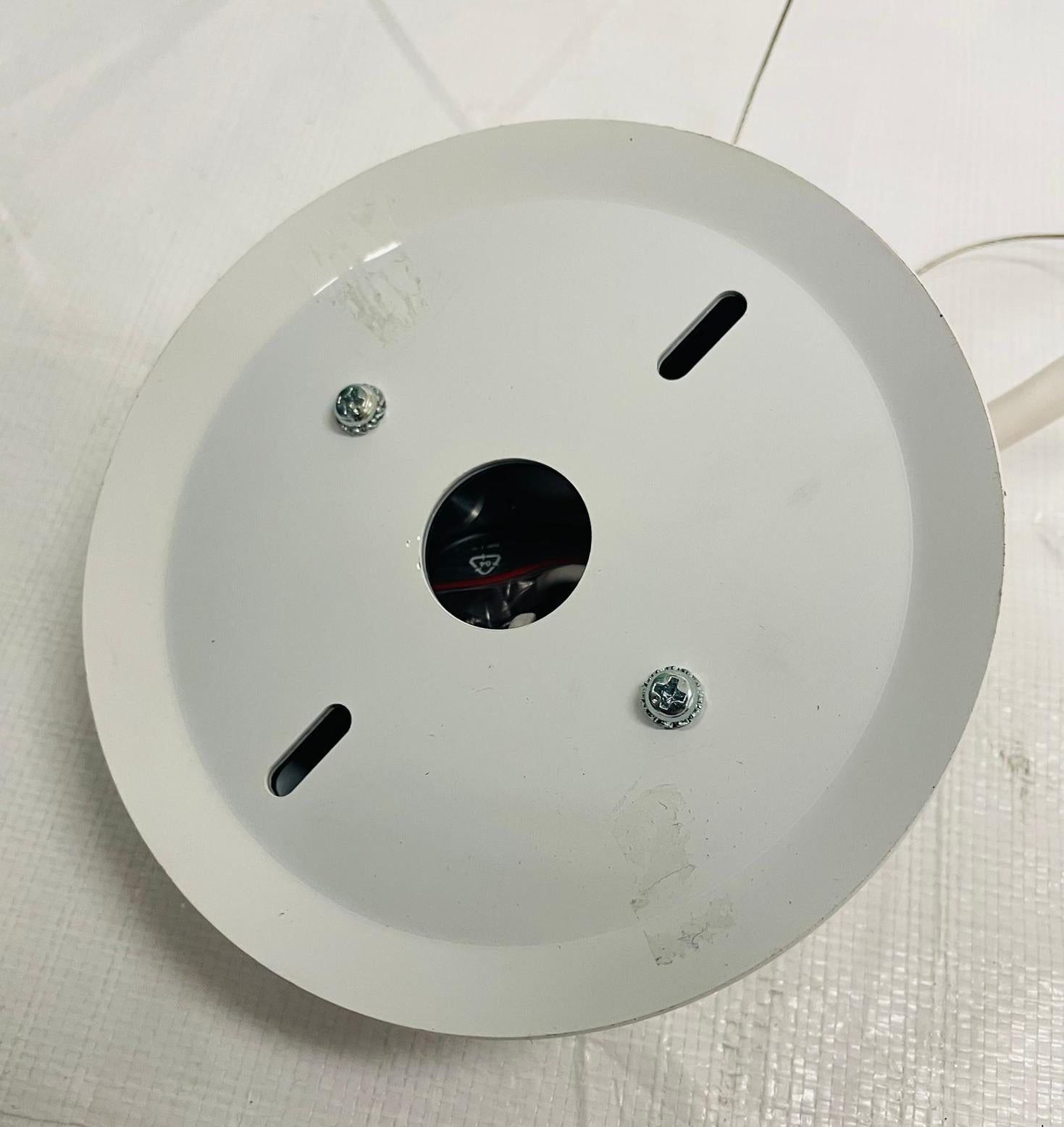 Coppia di lampade a sospensione 