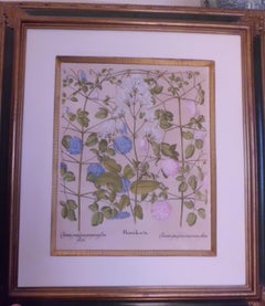 Pair of 17th Century Copper Plate Engraving First Edition 1613 by B.Besler