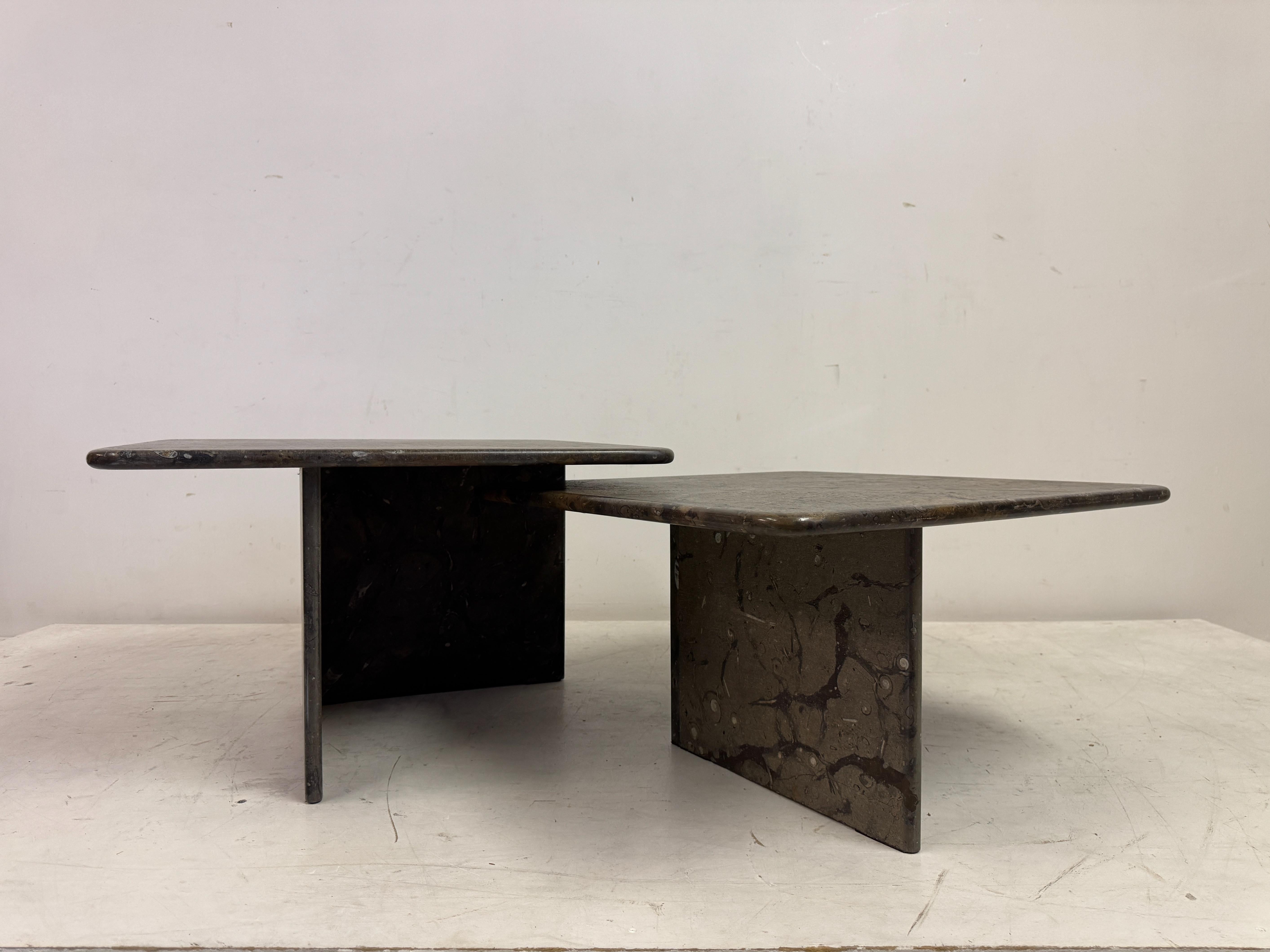 Pair or Nest of Fossil Stone Coffee Tables For Sale 5