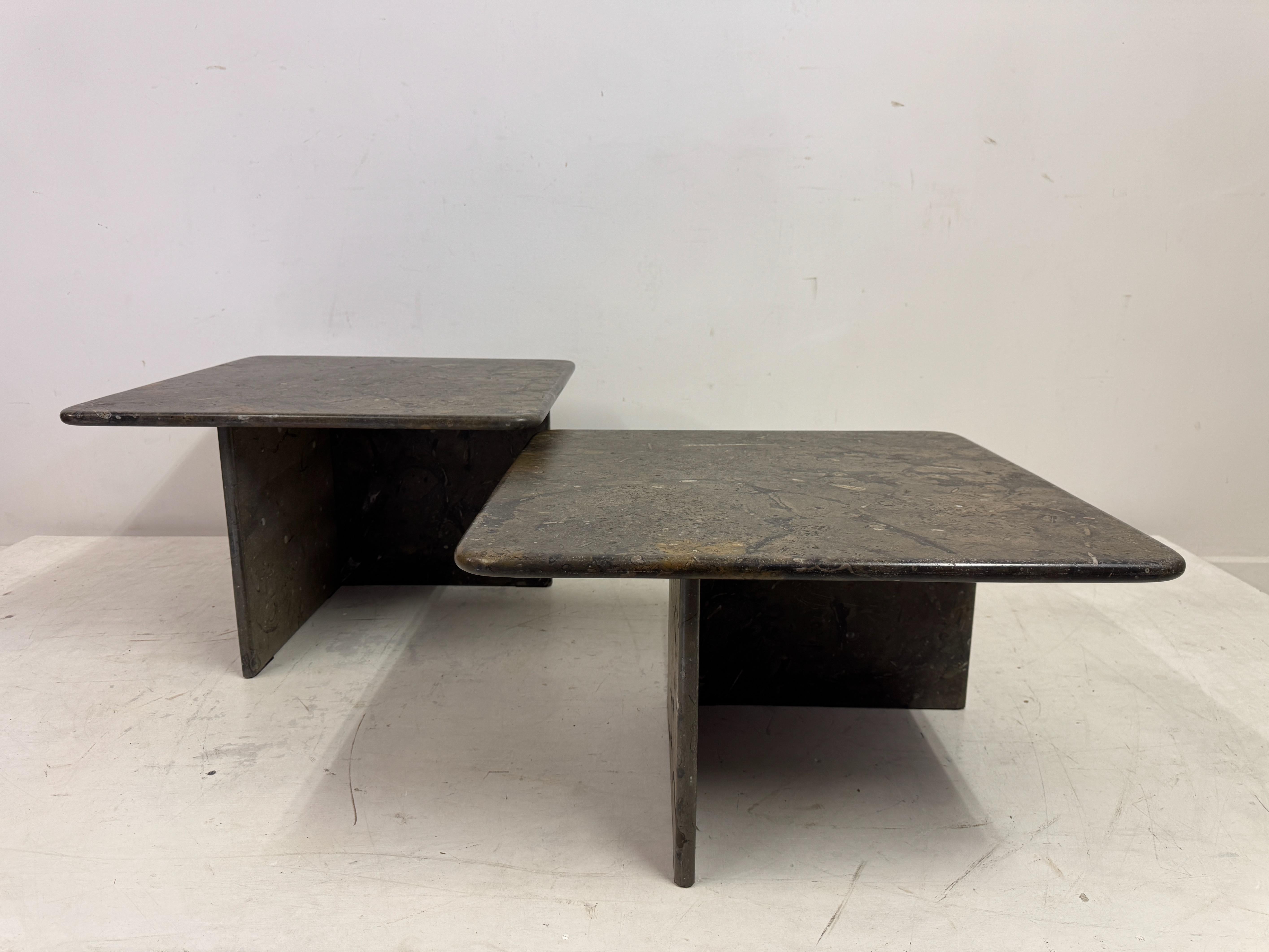 Pair or Nest of Fossil Stone Coffee Tables For Sale 11