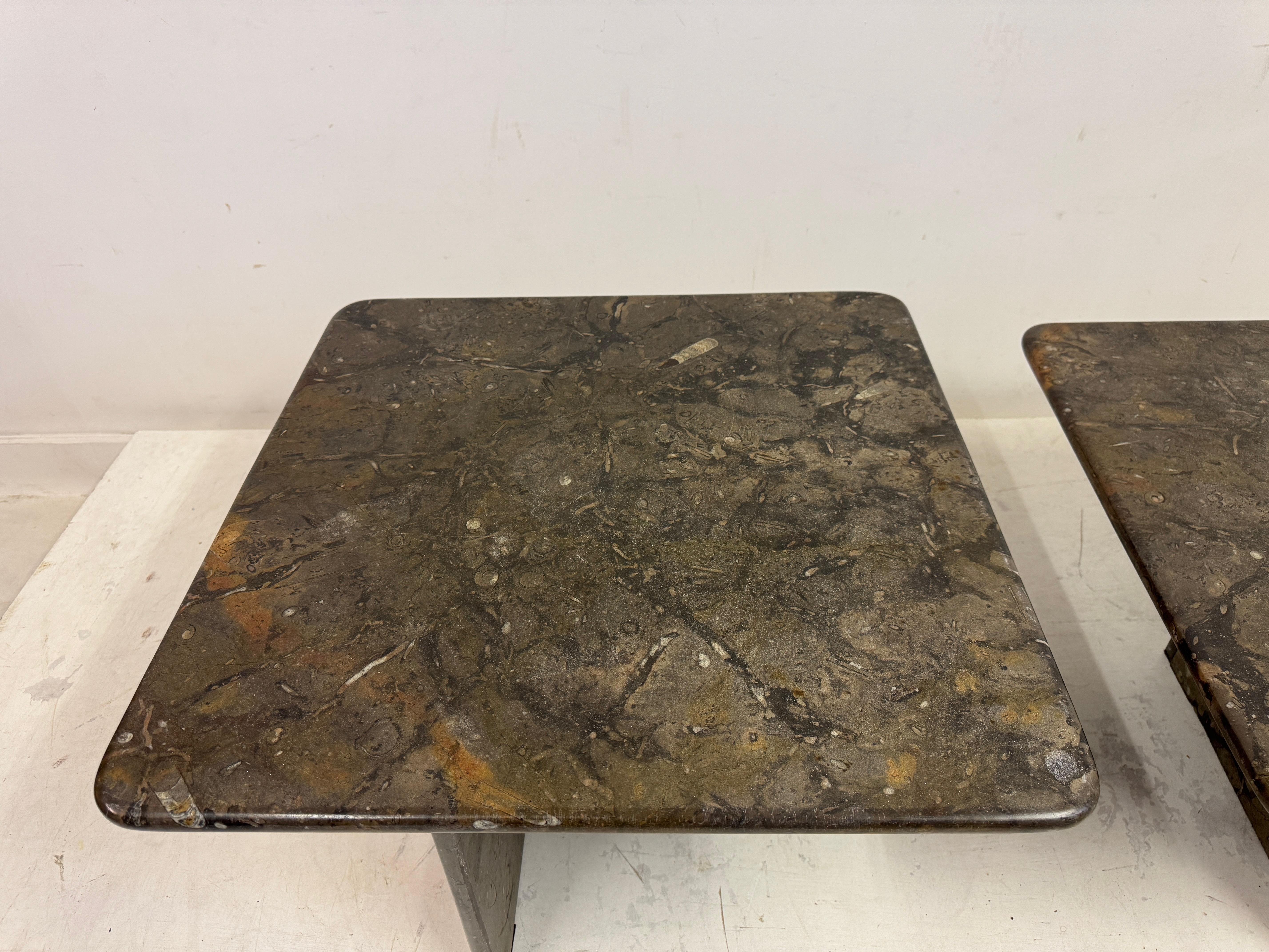 Belgian Pair or Nest of Fossil Stone Coffee Tables For Sale