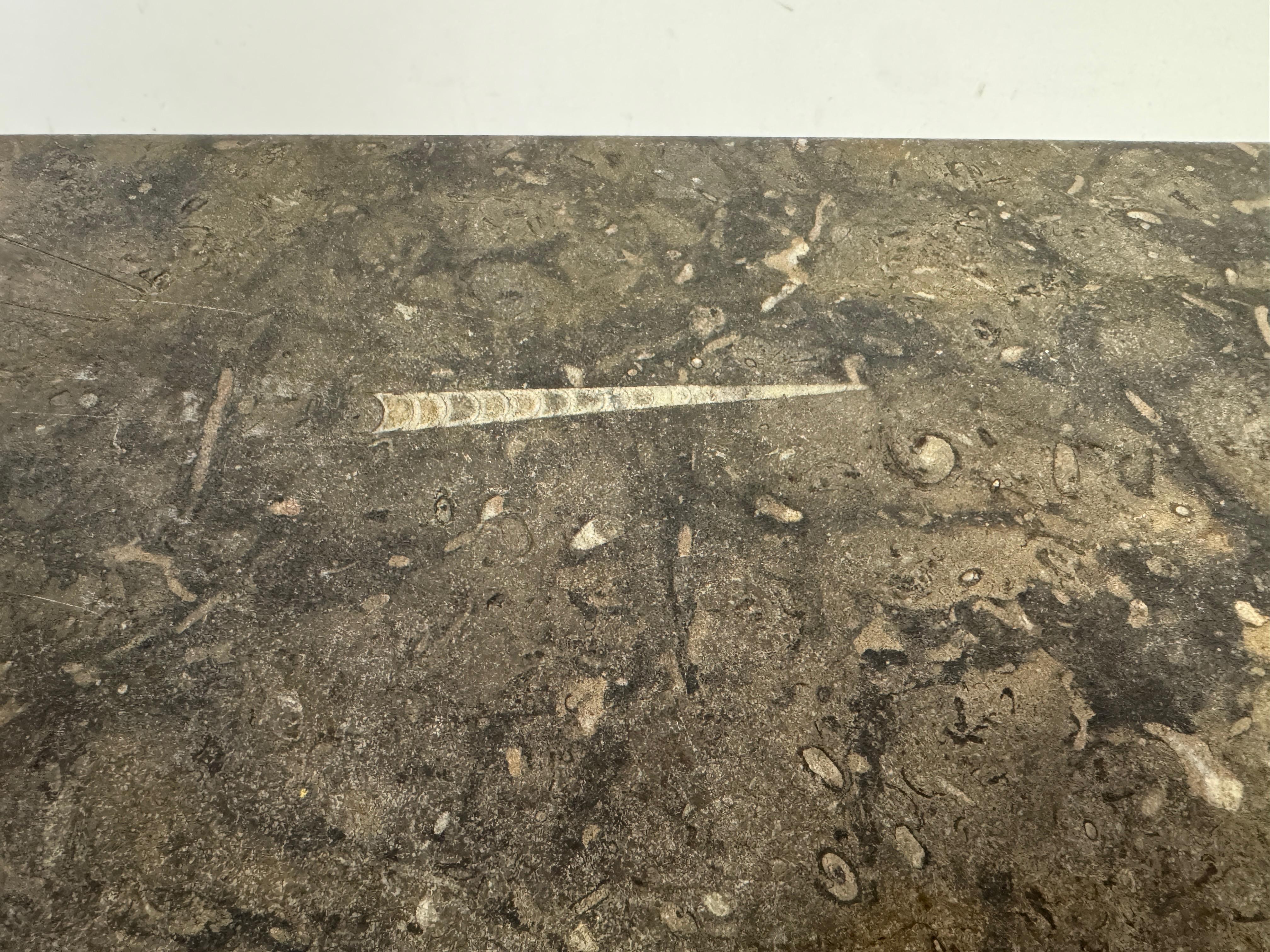 20th Century Pair or Nest of Fossil Stone Coffee Tables For Sale