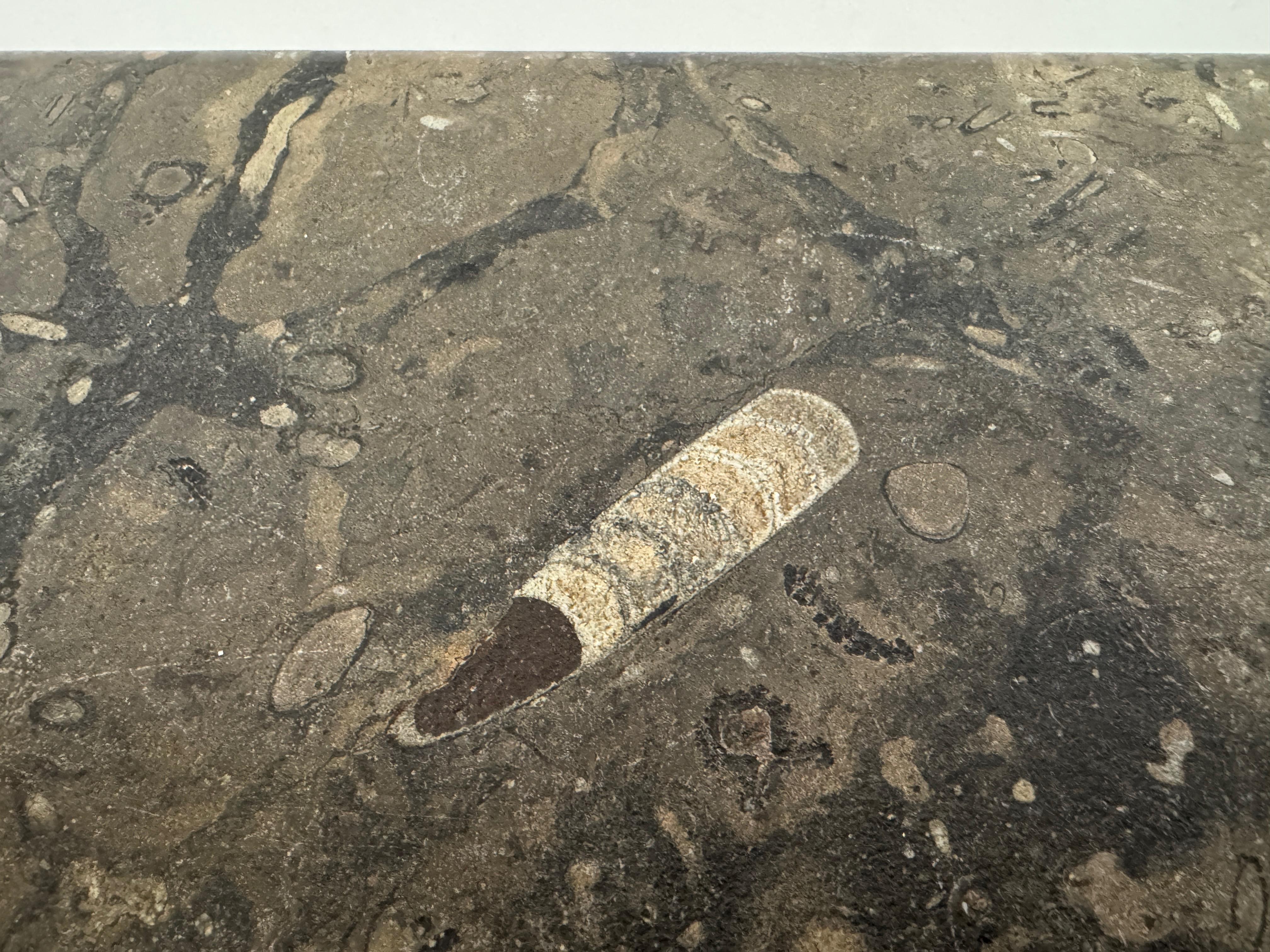 Pair or Nest of Fossil Stone Coffee Tables For Sale 2