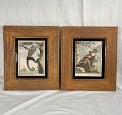 Pair Original Hand Colored Engravings, Georges-Louis Leclerec, Comte de Buffon.