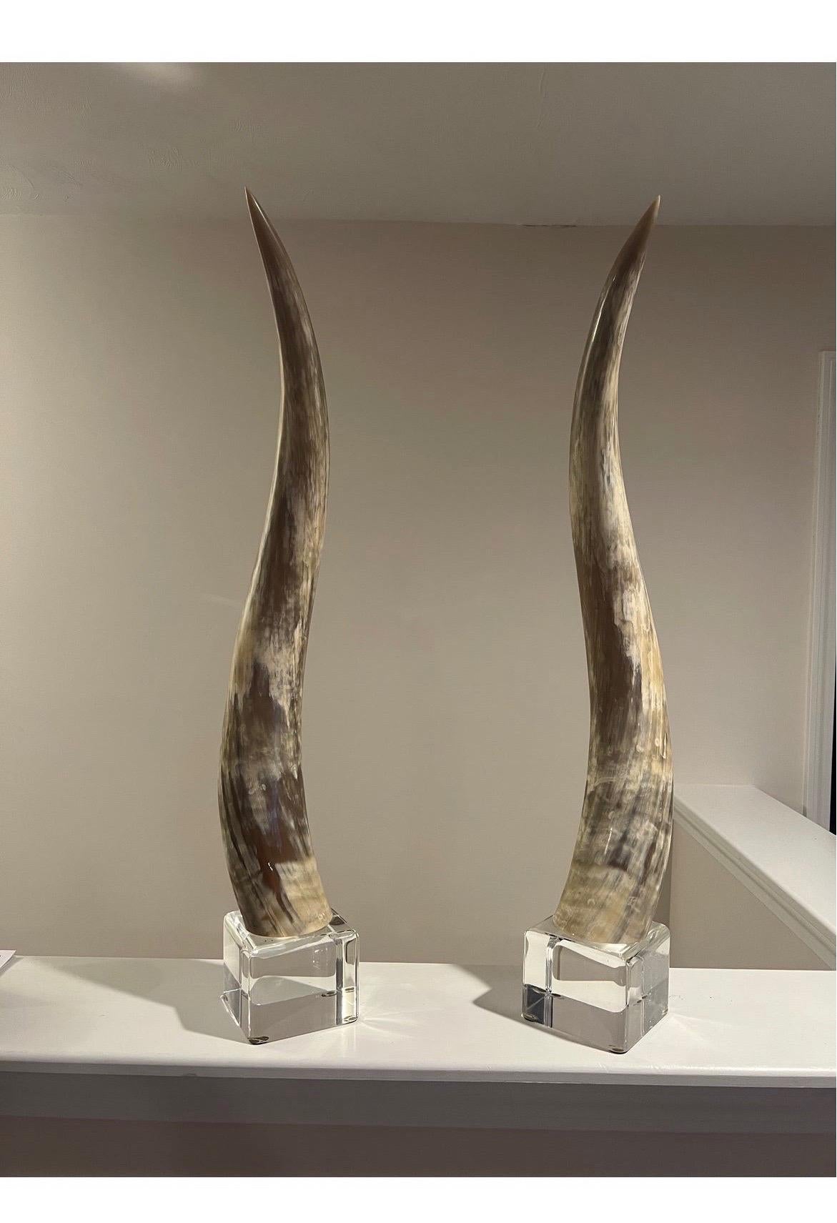 Pair, Oversized Mid-Century Modern Western Steer Horns on Lucite Mounts In Good Condition In Atlanta, GA