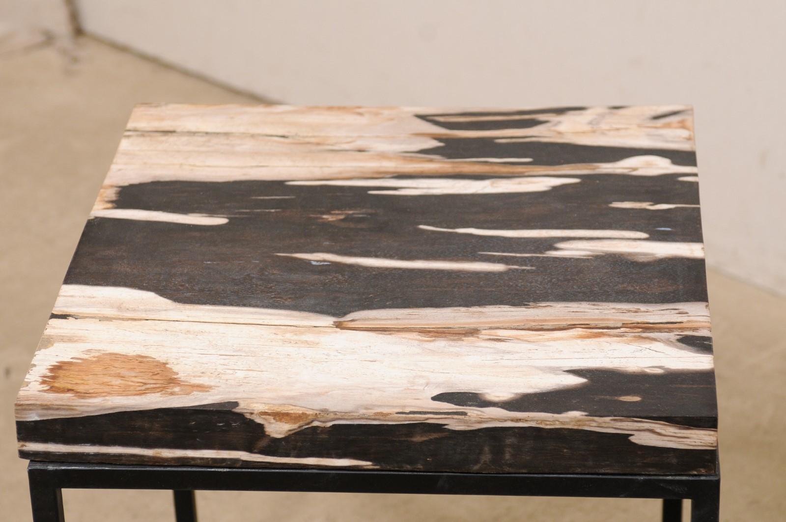 18th Century and Earlier Pair Petrified Wood Top Side Tables on Custom Black Iron Bases 