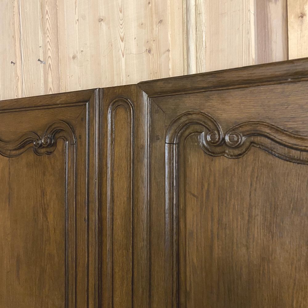 Pair of Plaquards ~ Armoire or Cabinet Doors, 19th Century For Sale 2