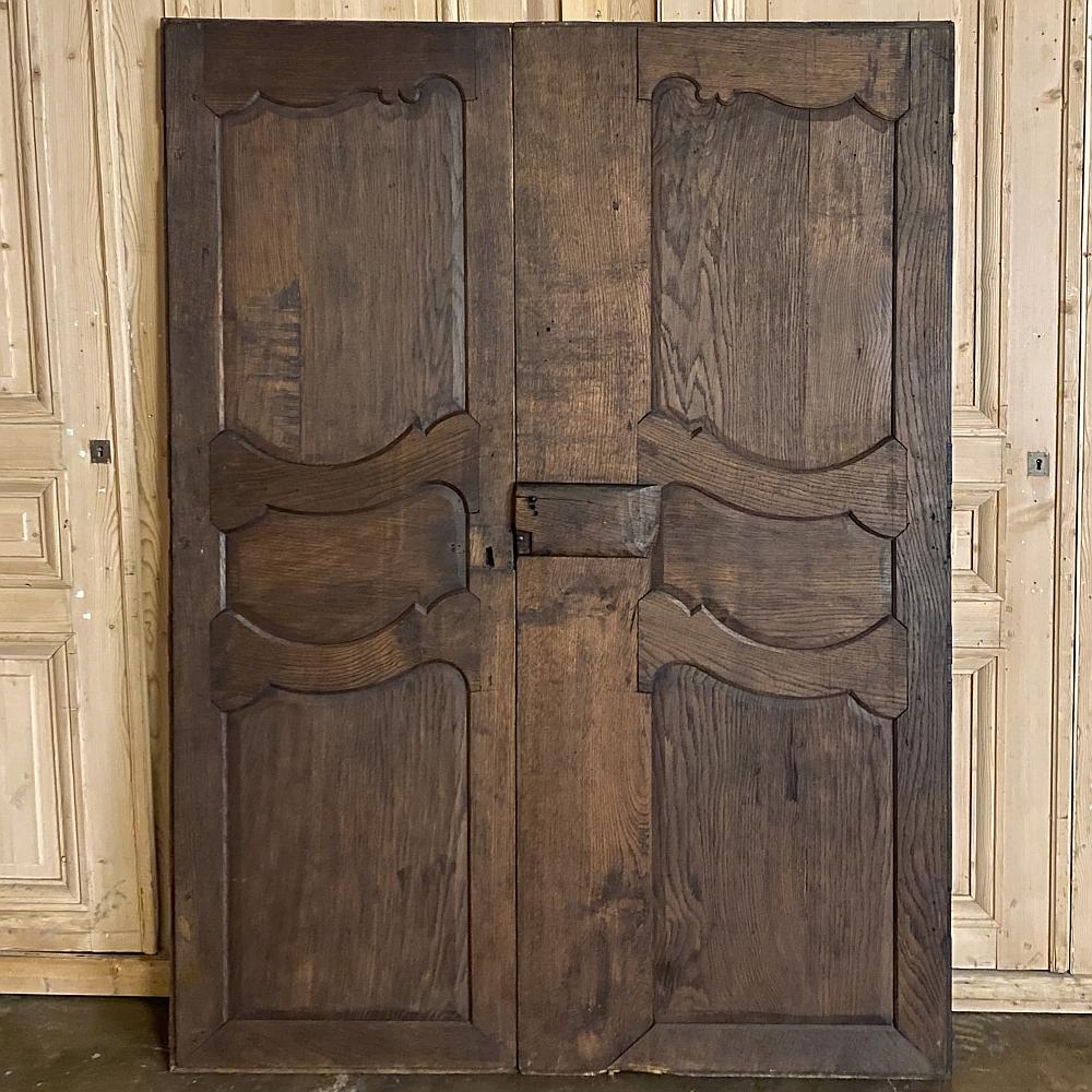 Pair of Plaquards ~ Armoire or Cabinet Doors, 19th Century For Sale 3