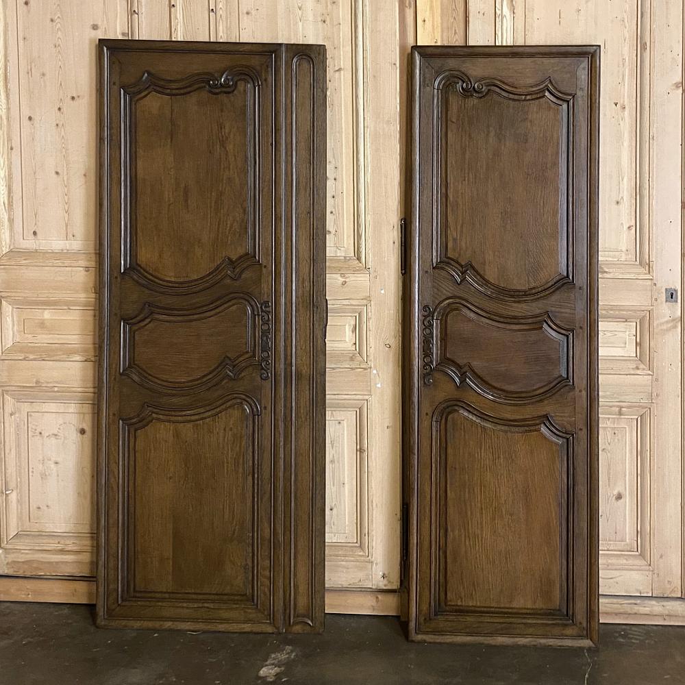 French Provincial Pair of Plaquards ~ Armoire or Cabinet Doors, 19th Century For Sale