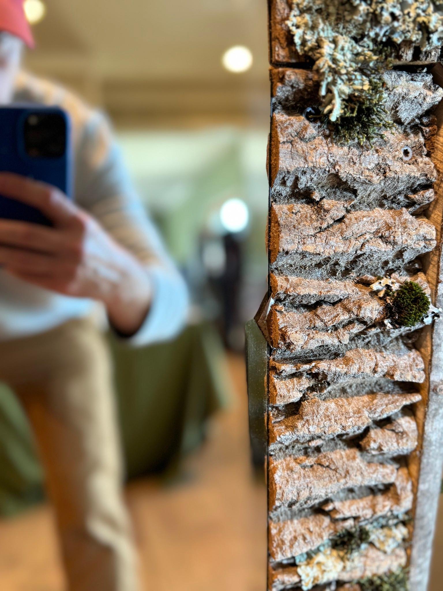 Paar Raleigh Adams Broken Pediment Woodland Spiegel im Angebot 8