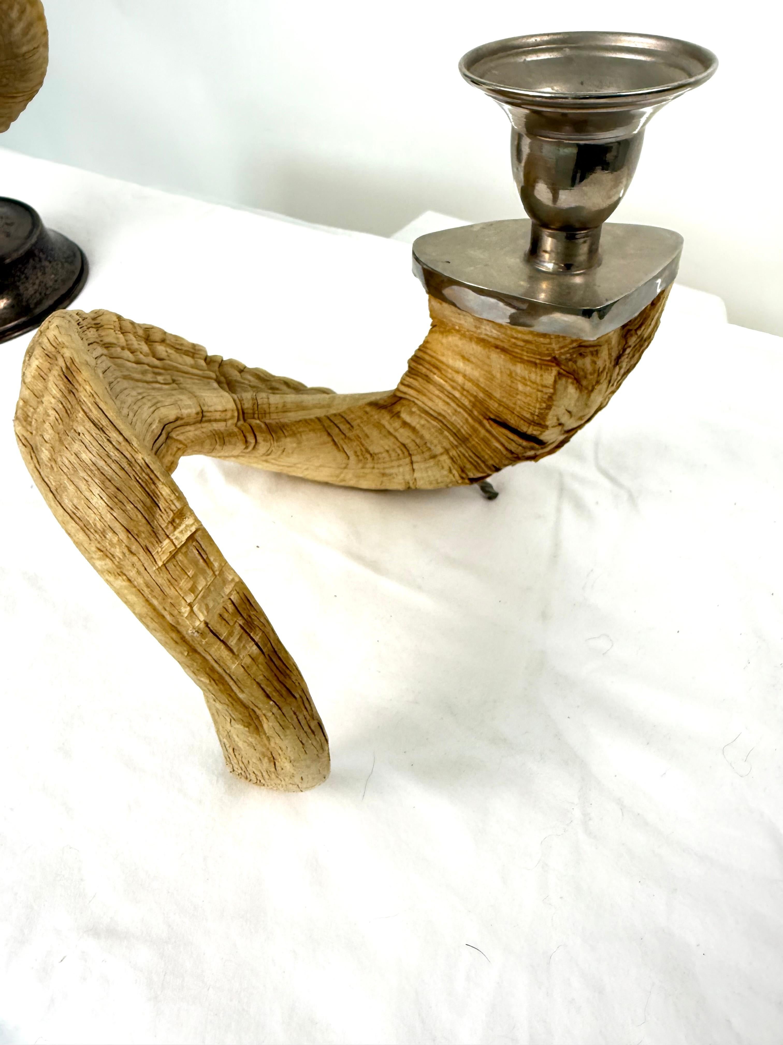 Pair Ram Horn Candlesticks For Sale 4