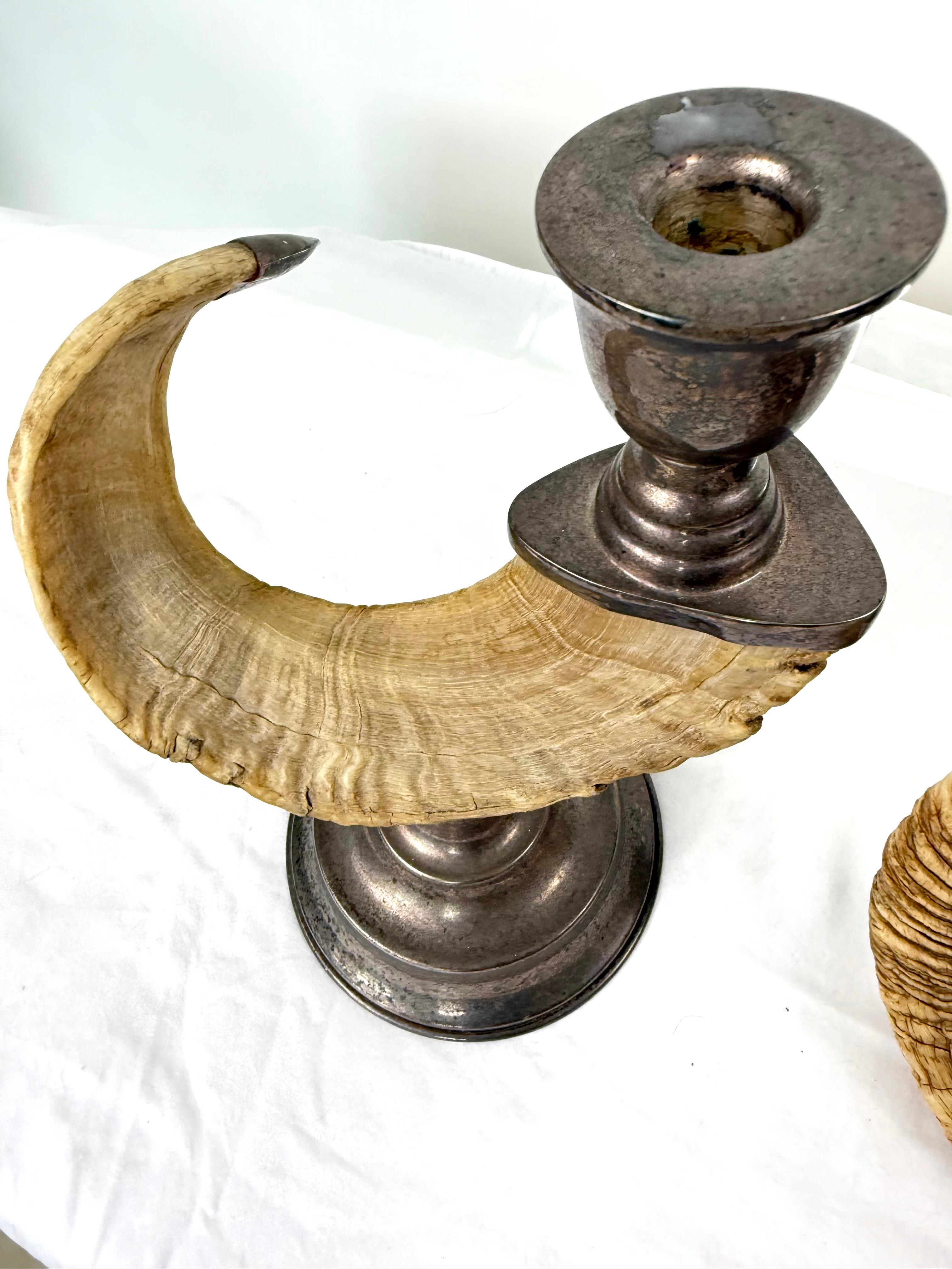 Mid-20th Century Pair Ram Horn Candlesticks For Sale