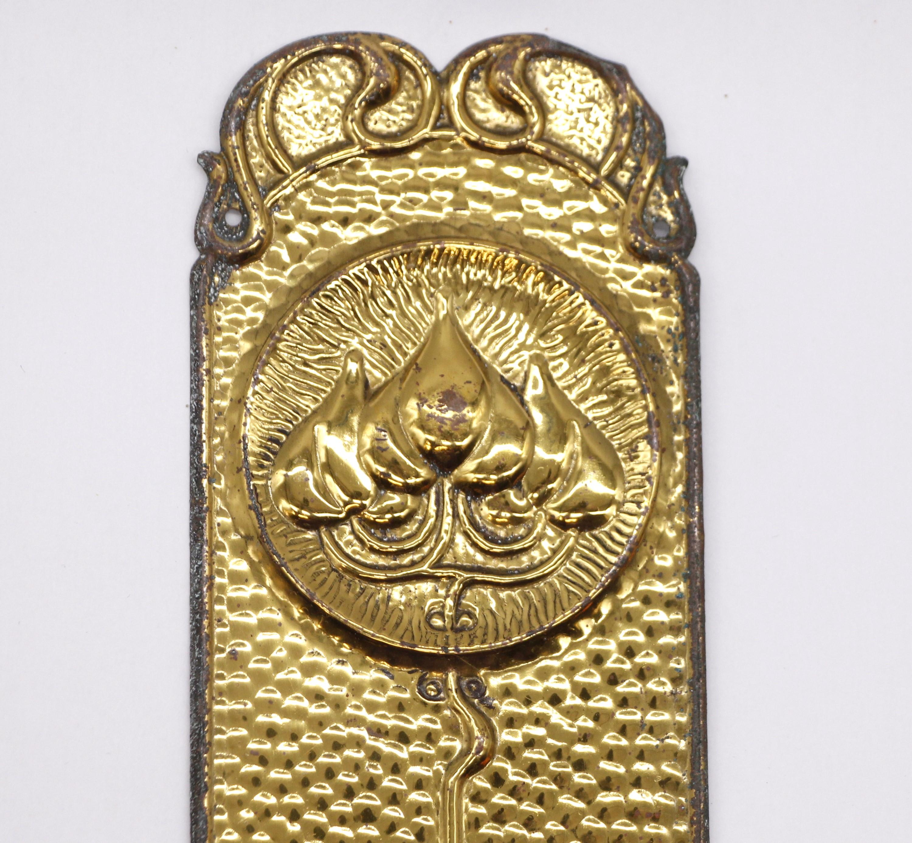 brass door plates