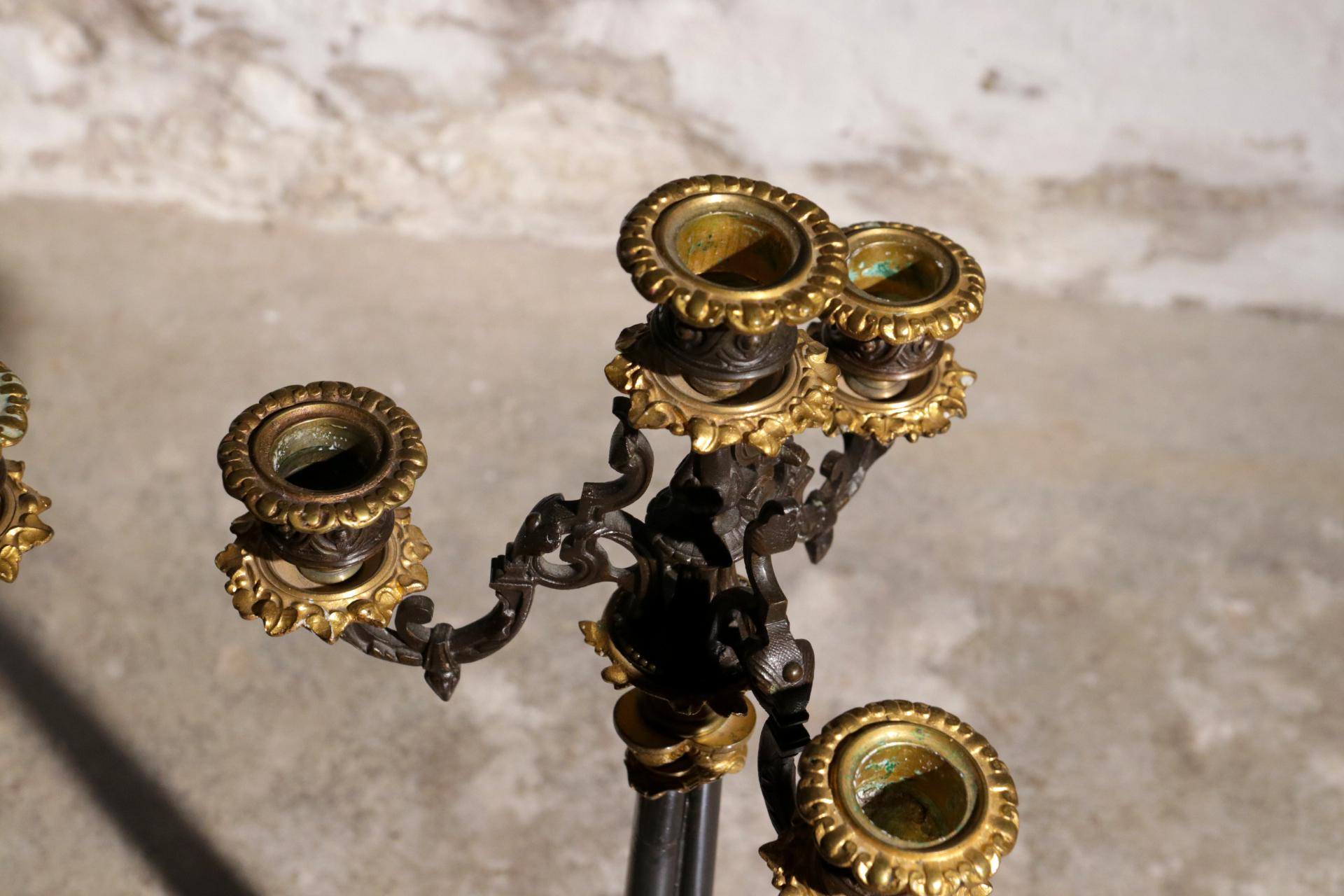Bronze Paire de candélabres patinés et dorés du 19ème siècle richement décorés en vente