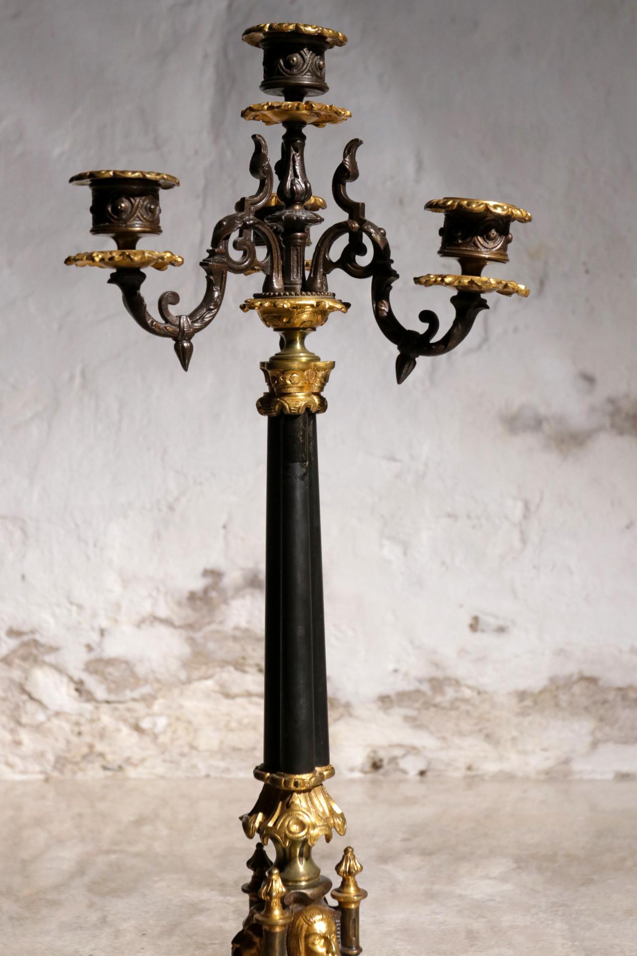 Paire de candélabres patinés et dorés du 19ème siècle richement décorés en vente 1