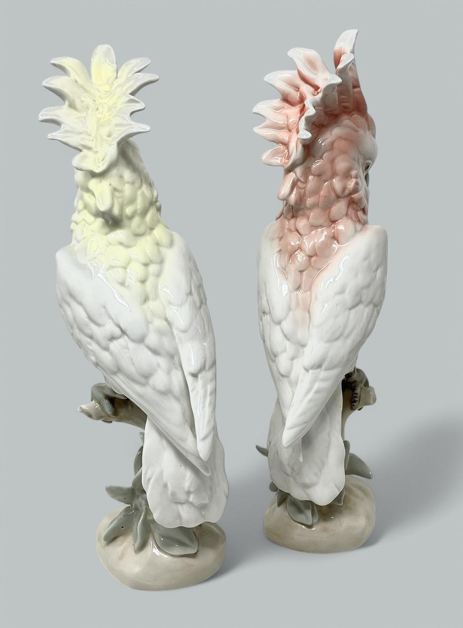 Paar Royal Dux Staffordshire Porzellan Vögel Parakeets Kockrels Cockatoos (Viktorianisch) im Angebot