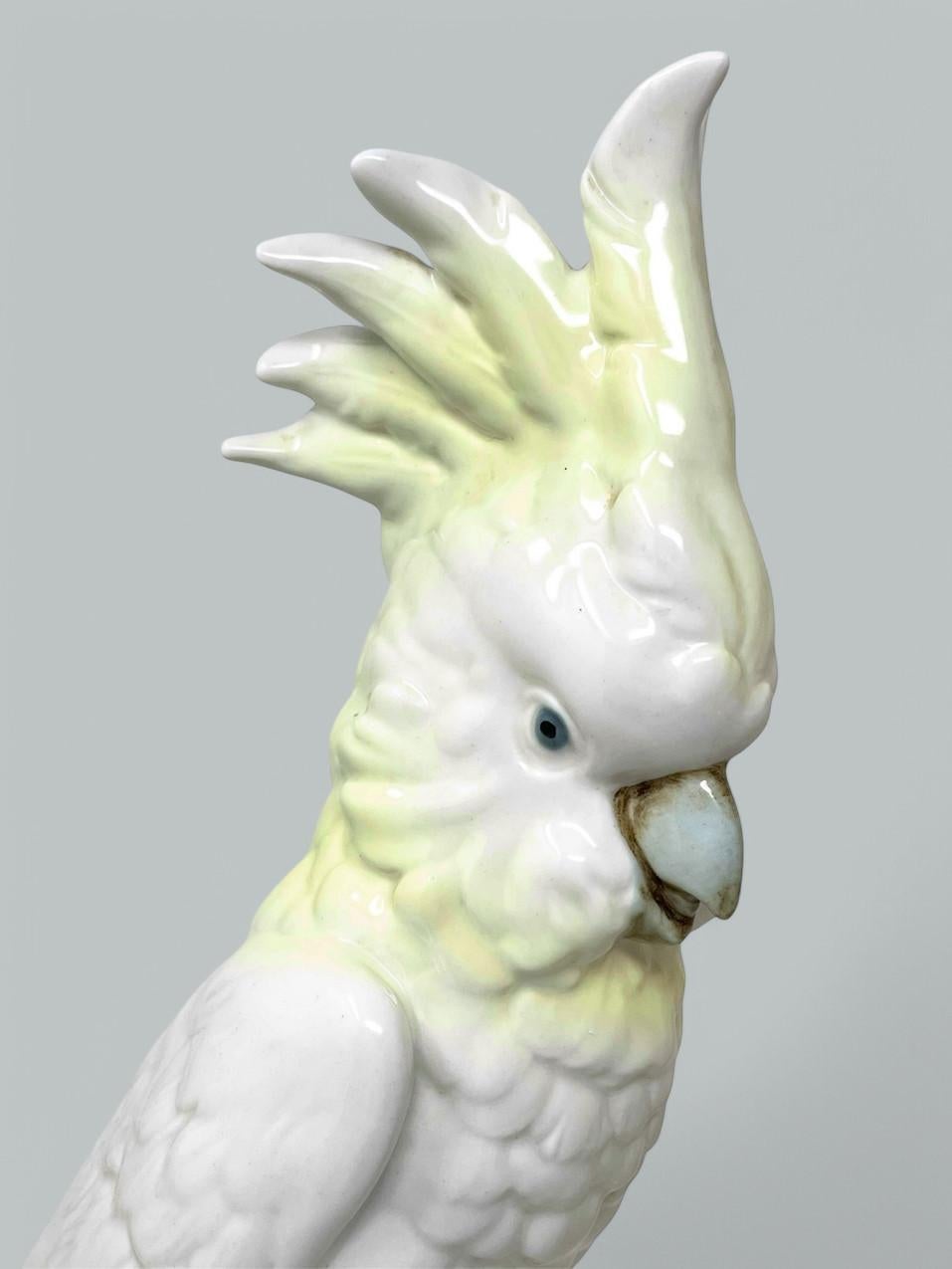 Paar Royal Dux Staffordshire Porzellan Vögel Parakeets Kockrels Cockatoos (Handbemalt) im Angebot