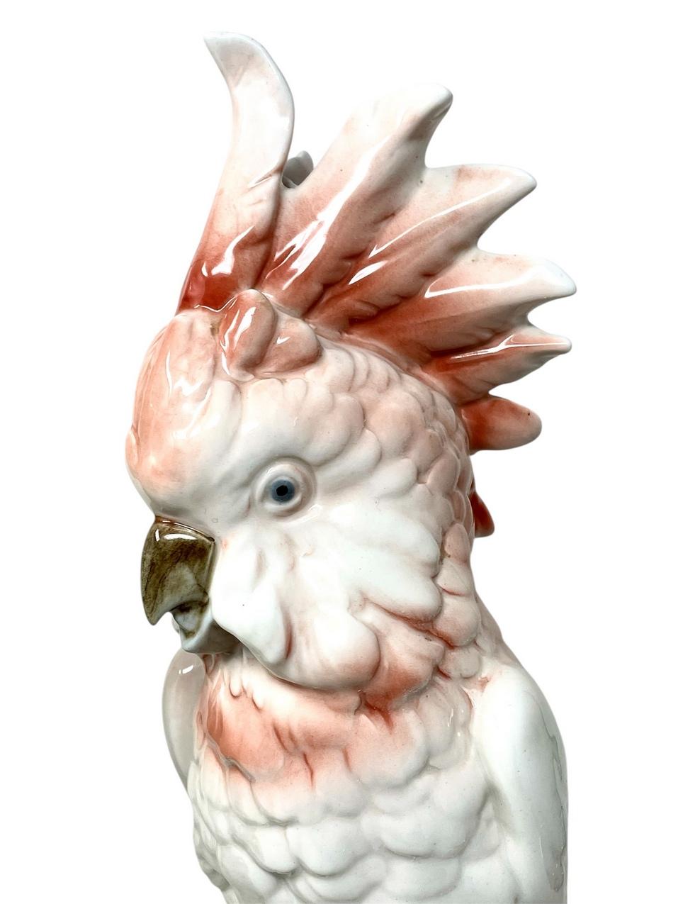 Paar Royal Dux Staffordshire Porzellan Vögel Parakeets Kockrels Cockatoos (20. Jahrhundert) im Angebot