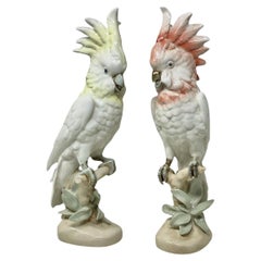 Pair Royal Dux Staffordshire Porcelain Birds Parakeets Cockrels Cockatoos