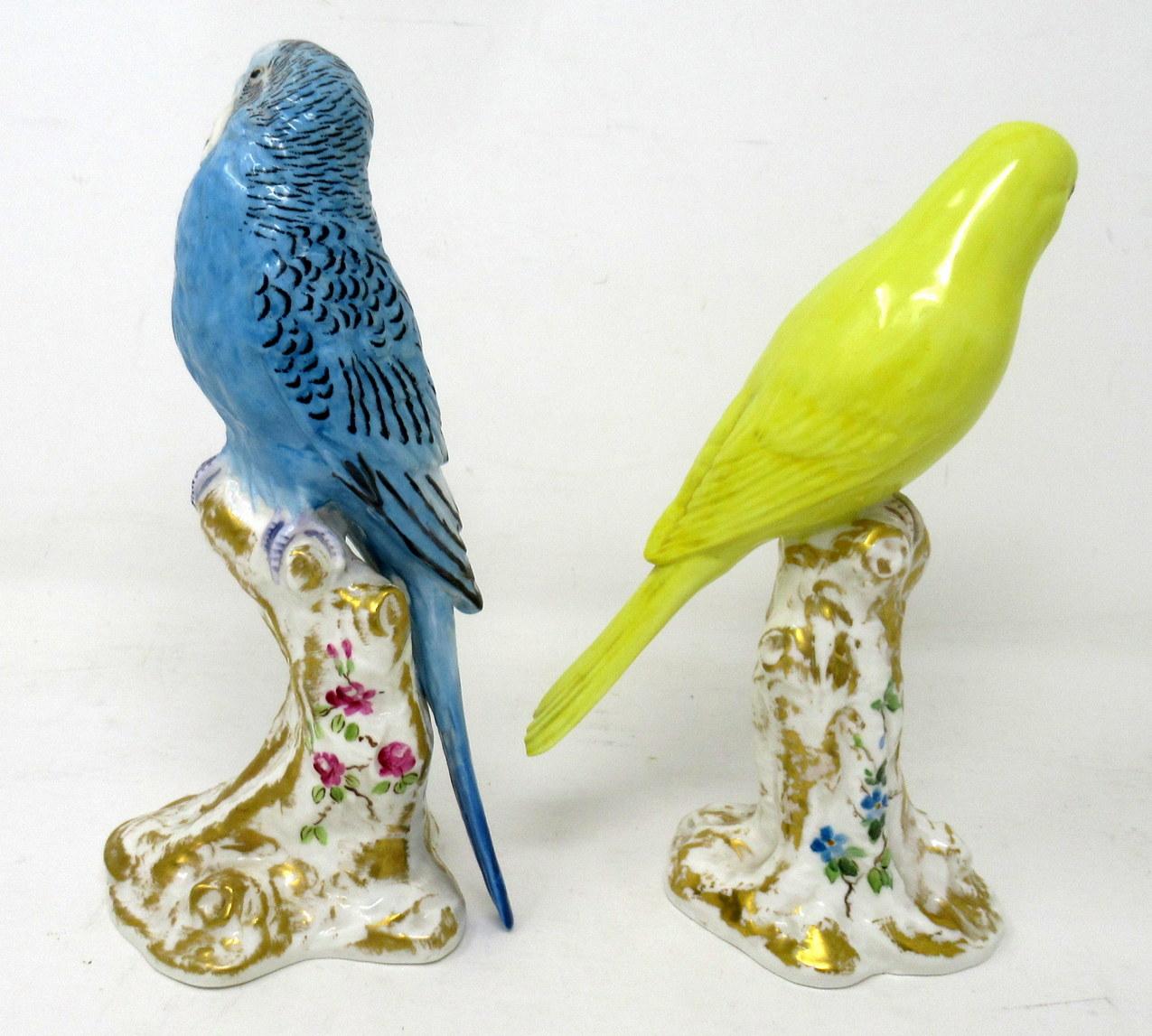 blue parakeet petsmart