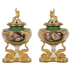 Pair Royal Worcester, Flight Barr & Barr Lidded Vases, 19th Century
