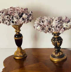 Pair Sea Shell Barnacles Clusters on Italian Pricket Stands