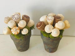 Pair of Artisan Sea Shell Floral Arrangements, Organic Modern, USA