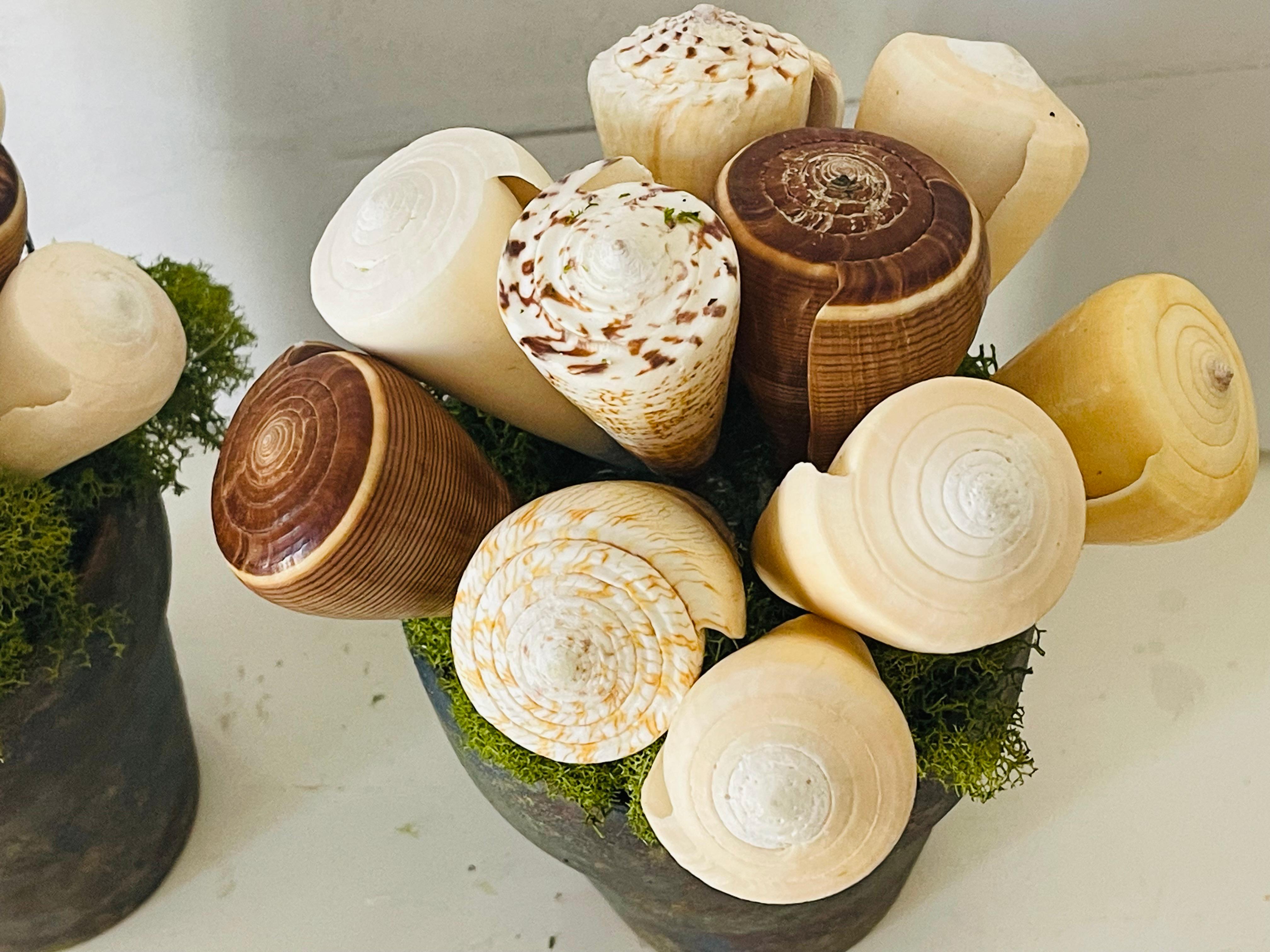 Conchiglia Coppia di composizioni floreali di conchiglie di mare Fecit costiera in vendita