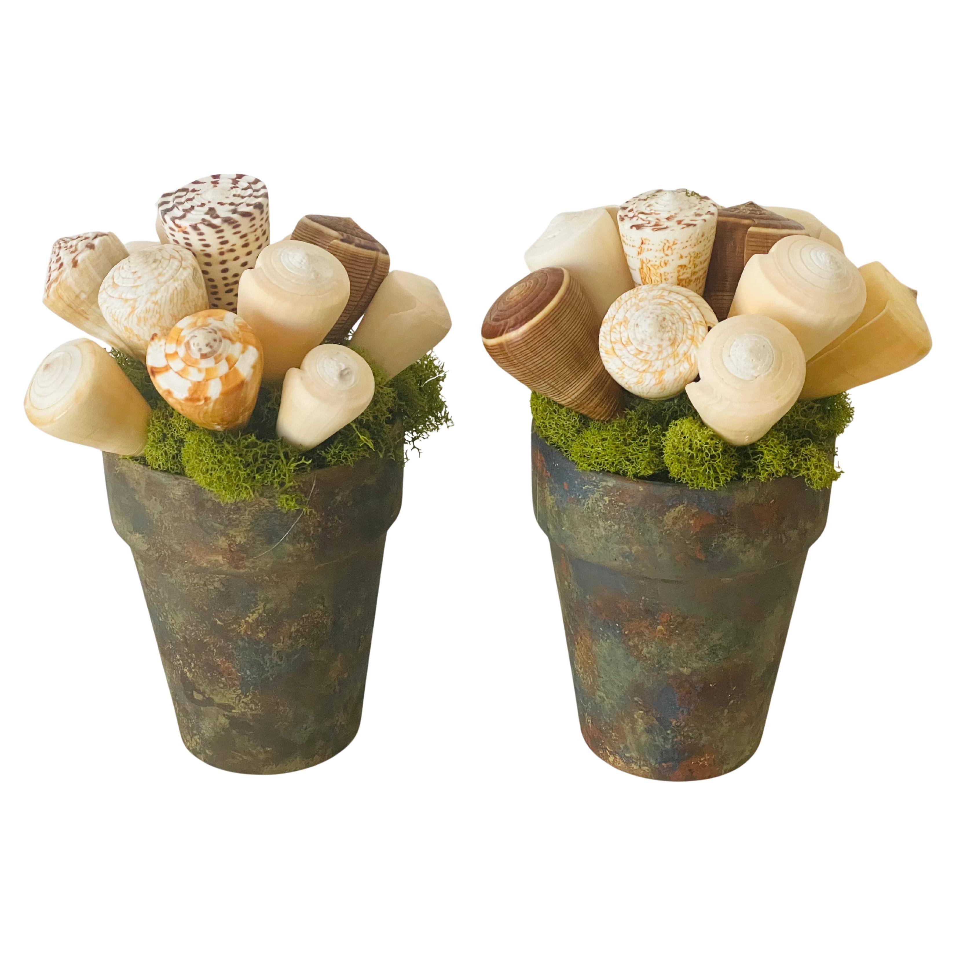 Pair Sea Shell Floral Arrangements Coastal Fecit