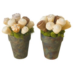 Pareja Arreglos Florales Conchas Marinas Fecit Costero