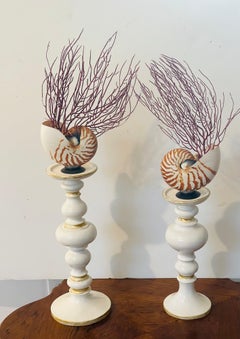 Coppia di portacandele Nautilus con conchiglia marina