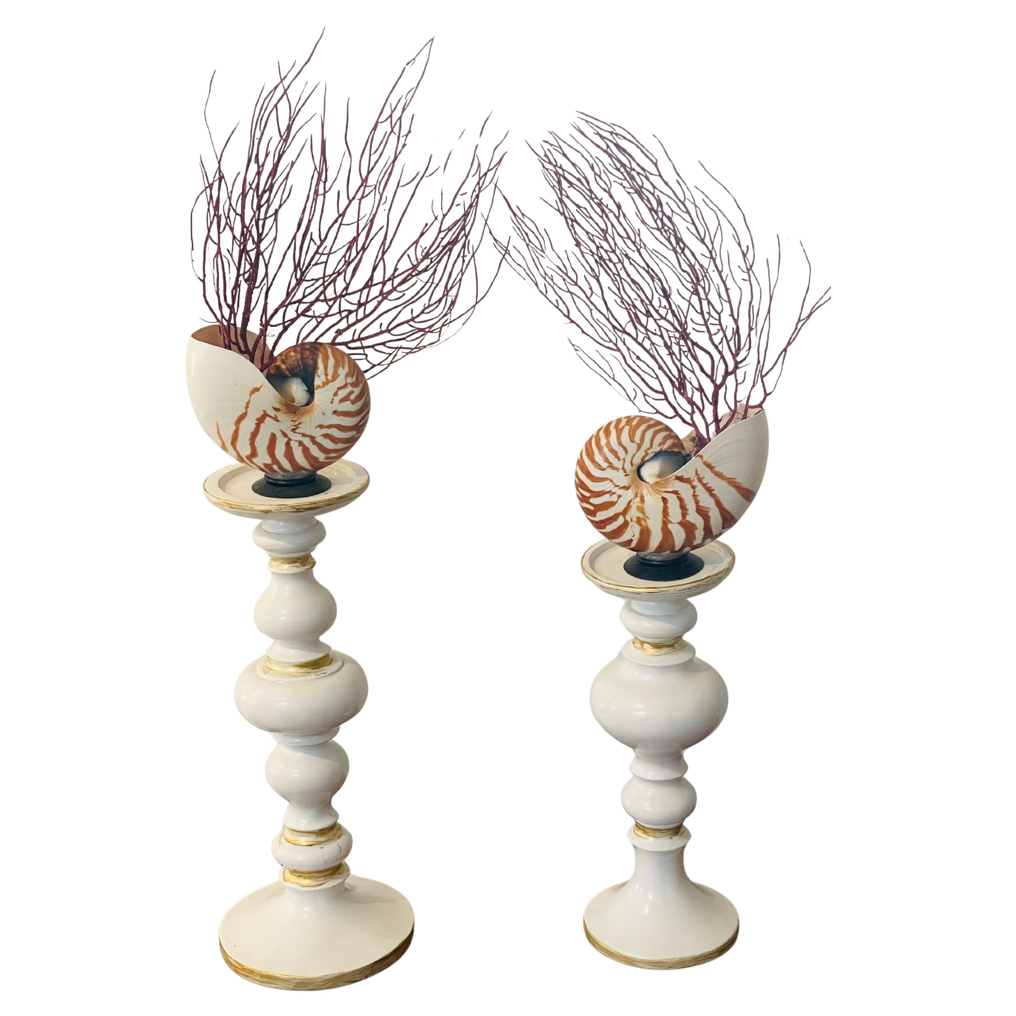 Bougeoirs Vintage Nautilus Sea Shell, Organic Modern, USA, 1950s